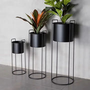 COASTAL CHARM BLACK PLANT STANDS