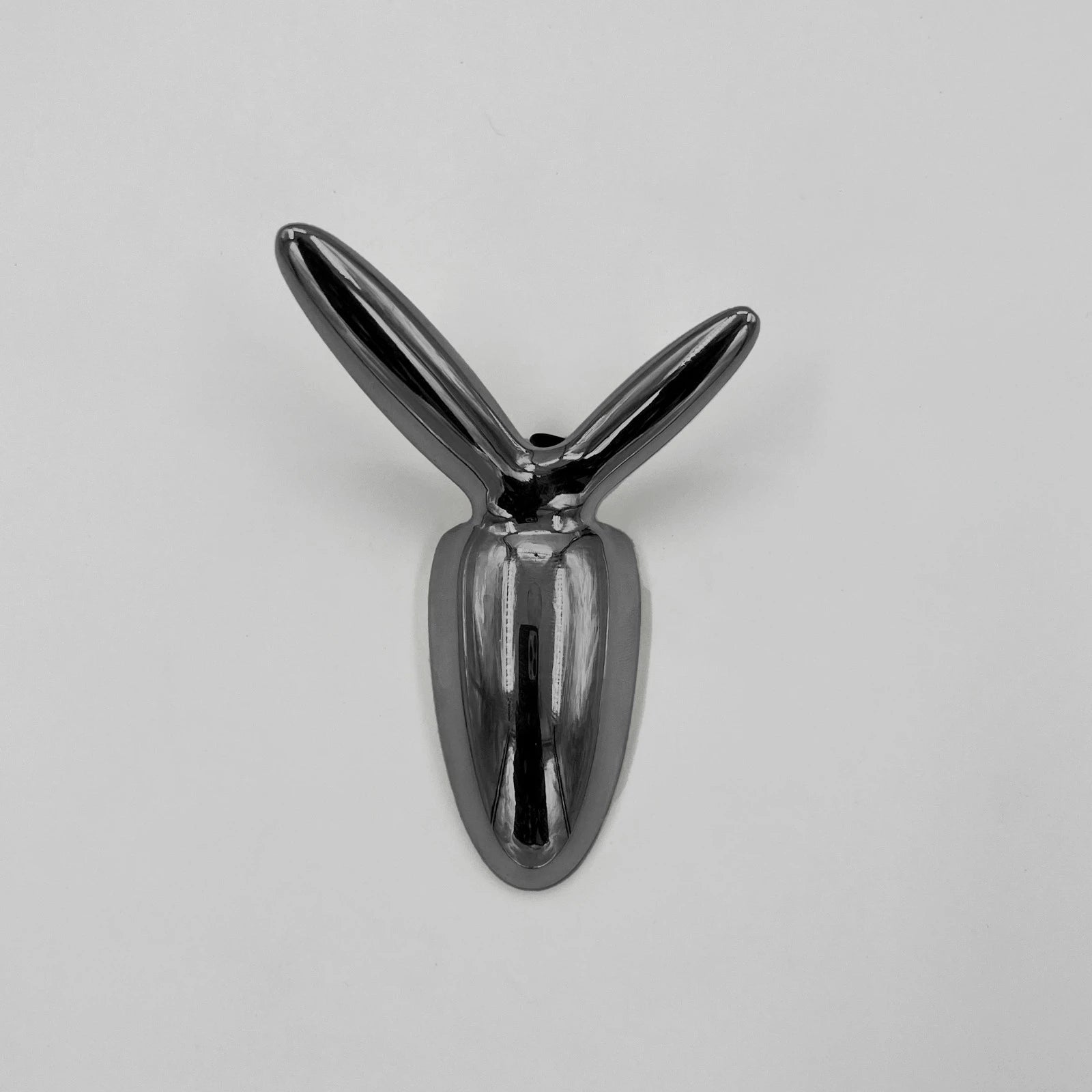 TWIN BRANCH CLOTH HOOK