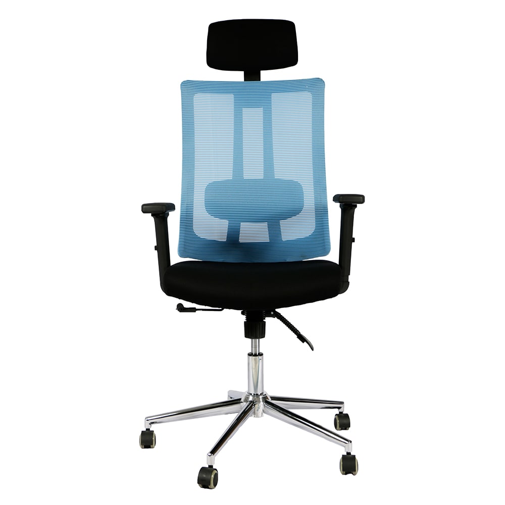ERGONOMIC MESH EXECUTIVE OFFICE CHAIR WITH HEADREST - BLUE