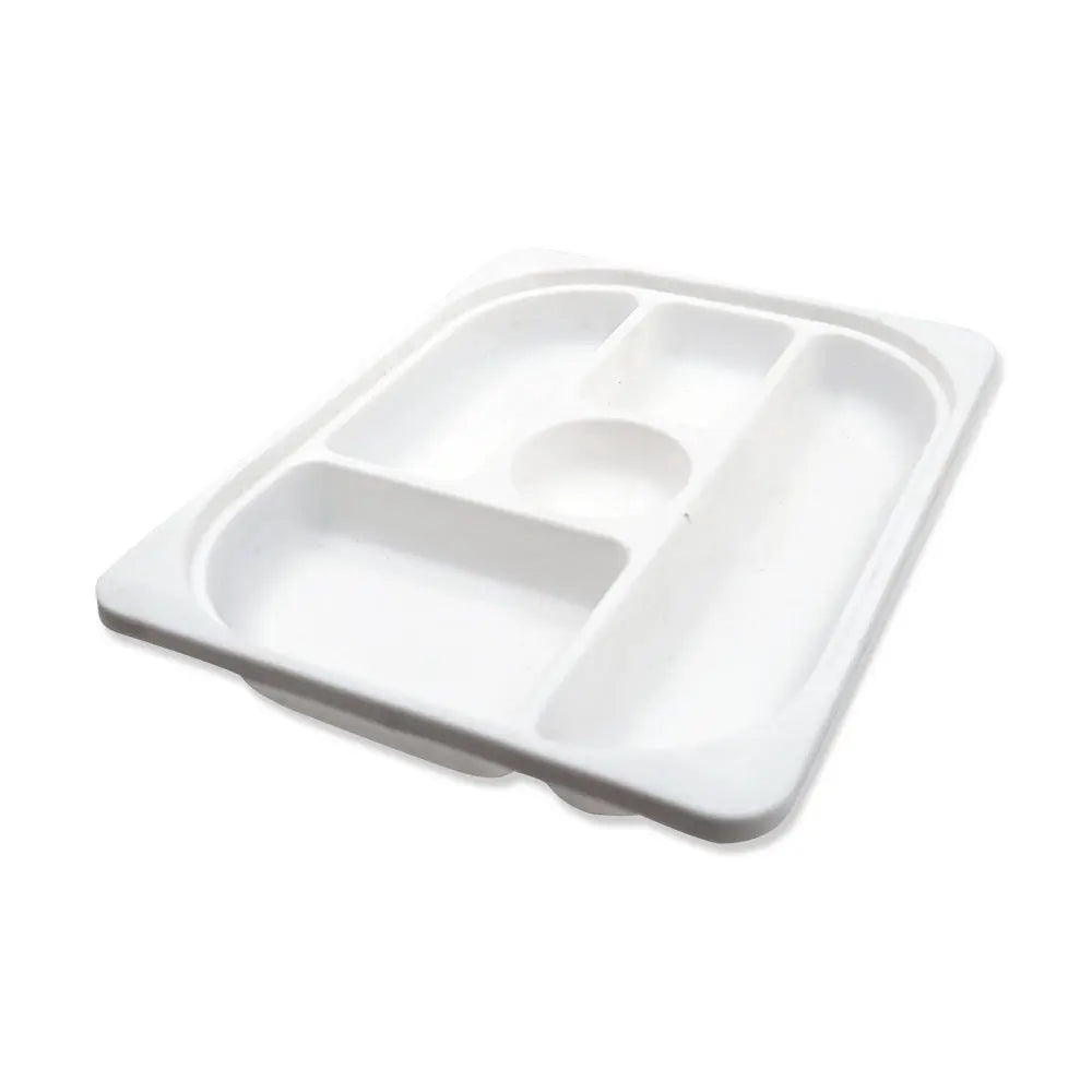 Food Serving Plate Tray with Partitions