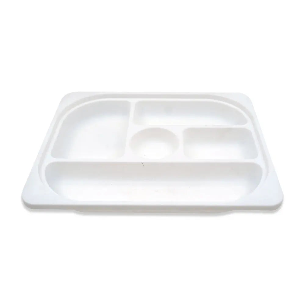 Food Serving Plate Tray with Partitions