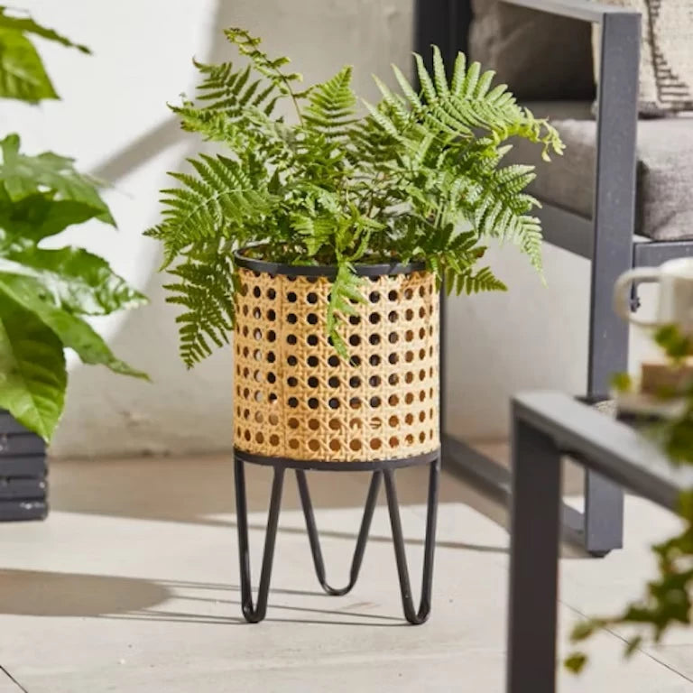 COASTAL RATTAN PLANT STAND