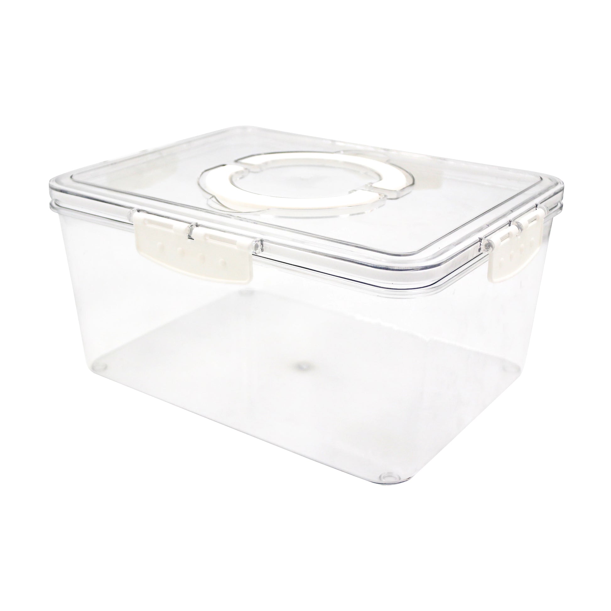 FRIDGE STORAGE CONTAINER WITH ICE CUBE TRAY