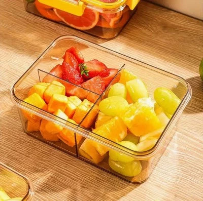 PLASTIC AIRTIGHT DIVIDED FOOD STORAGE BOX