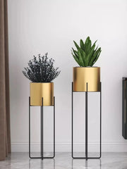 GOLDEN VISTA PLANT STAND DUO