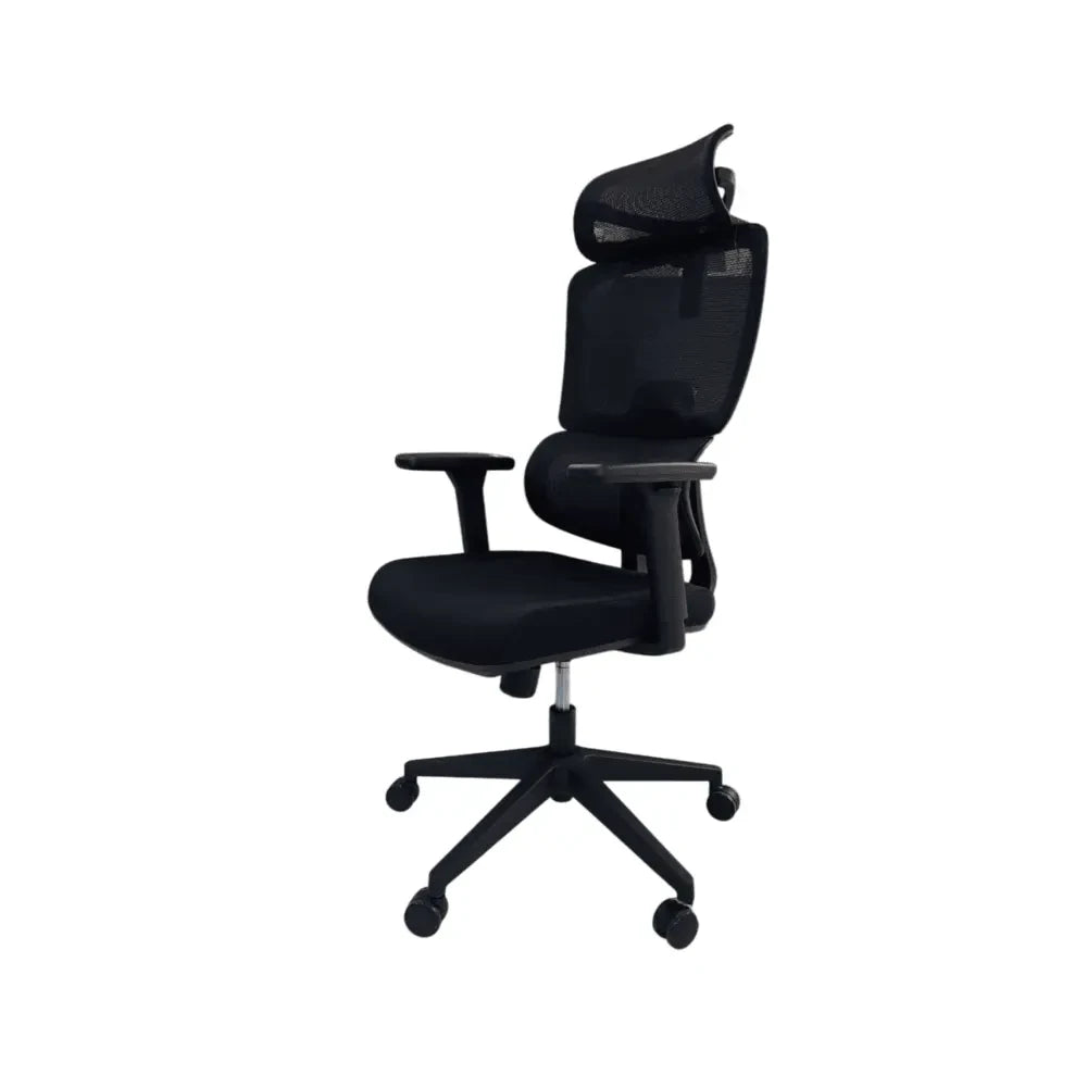 Black AeroFlex High-Back Ergonomic Office Chair with Adjustable Headrest and Lumbar Support