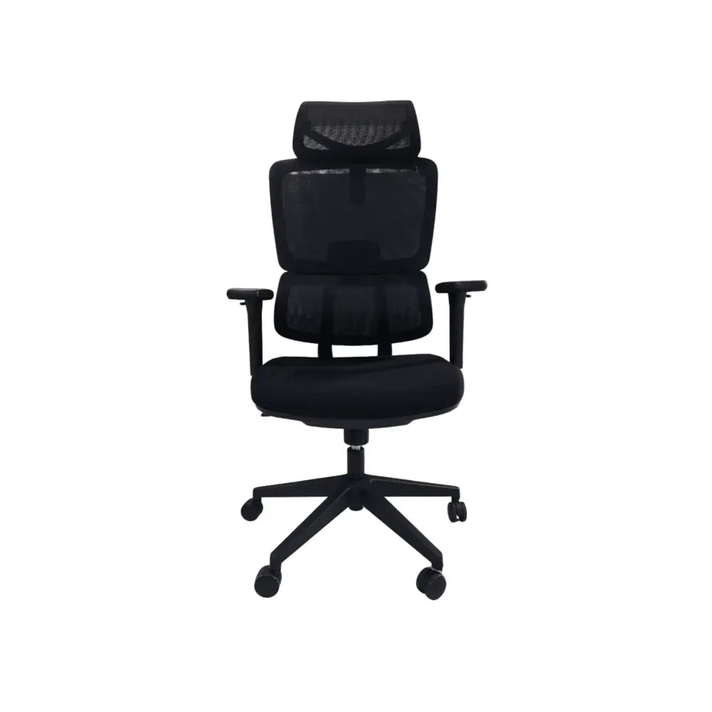 Black AeroFlex High-Back Ergonomic Office Chair with Adjustable Headrest and Lumbar Support