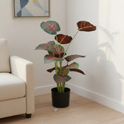 Artificial Chinese Evergreen Tree – Indoor Decoration Plant