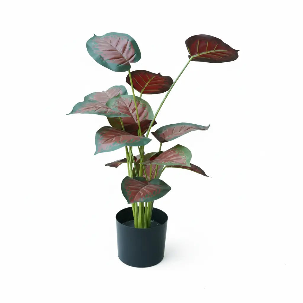 Artificial Chinese Evergreen Tree – Indoor Decoration Plant