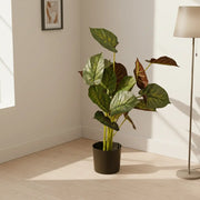 Artificial Dieffenbachia Tree – Decorative Indoor Plant