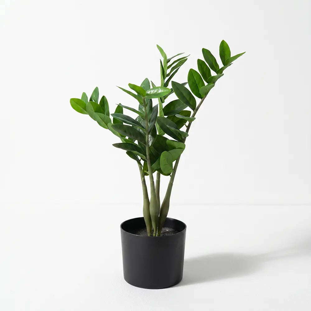 Artificial Money Plant with Pot