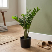 Artificial Money Plant with Pot