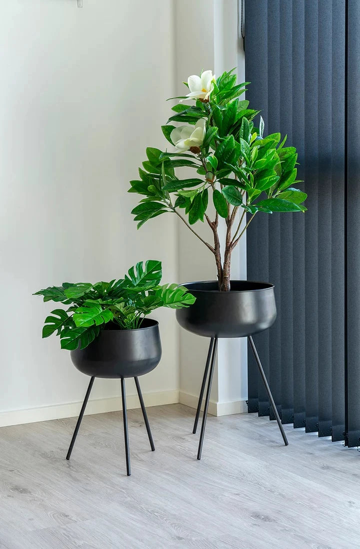 MODERN MATTE BLACK PLANTERS FOR INDOOR GREENERY