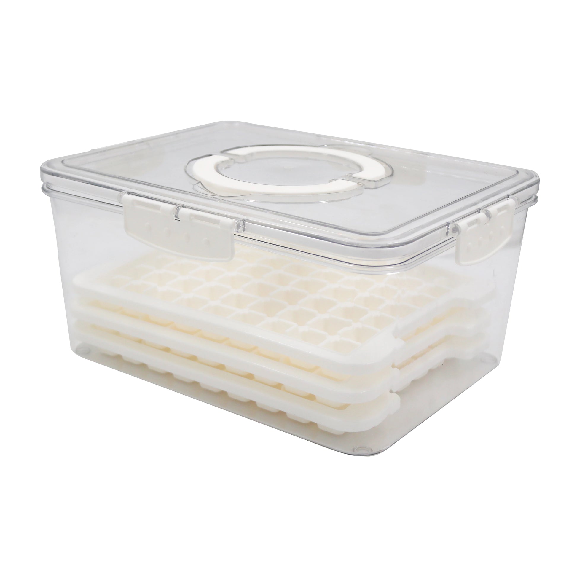 FRIDGE STORAGE CONTAINER WITH ICE CUBE TRAY