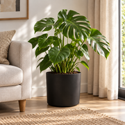 Matte Black Indoor Plant Pot