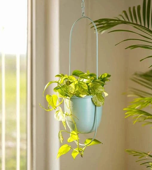 TROPICAL HARMONY HANGING PLANTER