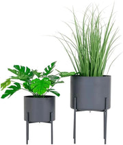 TROPICAL GRACE ELEVATED PLANTERS