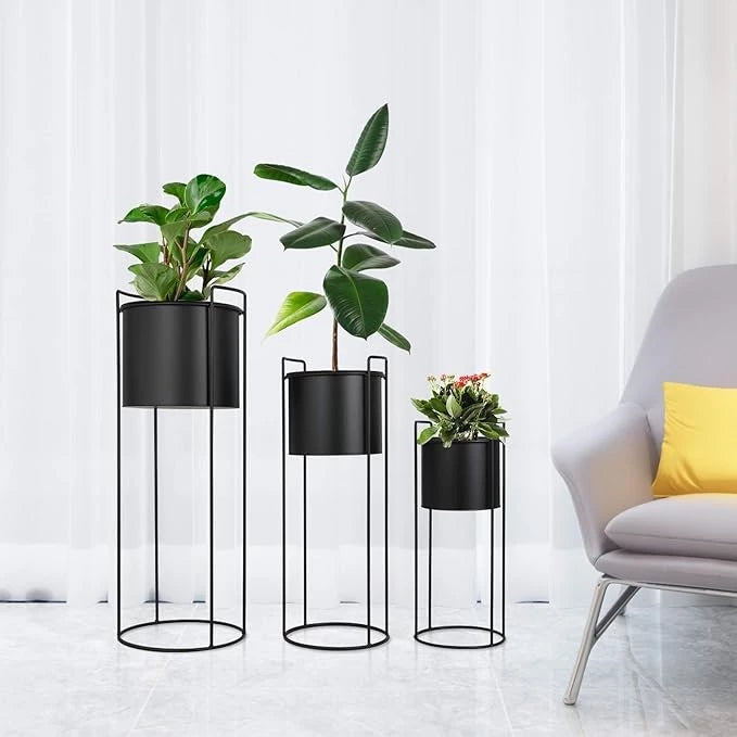 COASTAL CHARM BLACK PLANT STANDS