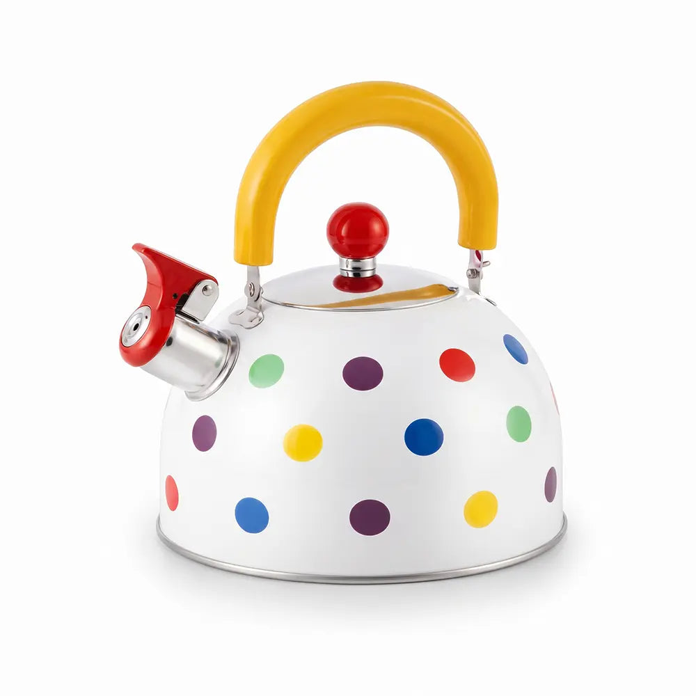 Stainless Steel Whistling Kettle