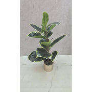 GREENGLOW DECORATIVE ARTIFICIAL PLANT