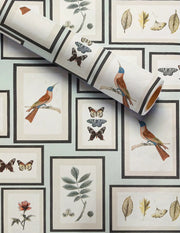 NATURAL WILDLIFE THEMED WALLPAPER – BIRDS & BUTTERFLIES