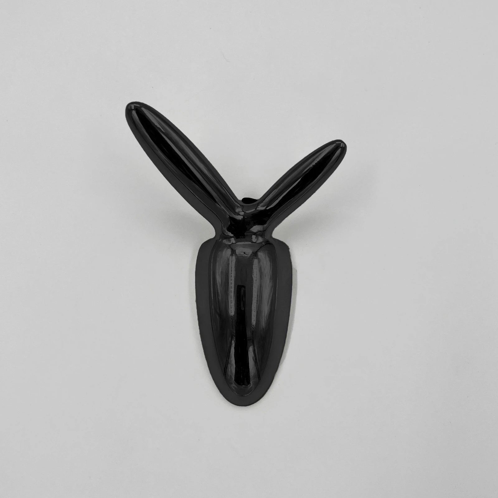 TWIN BRANCH CLOTH HOOK